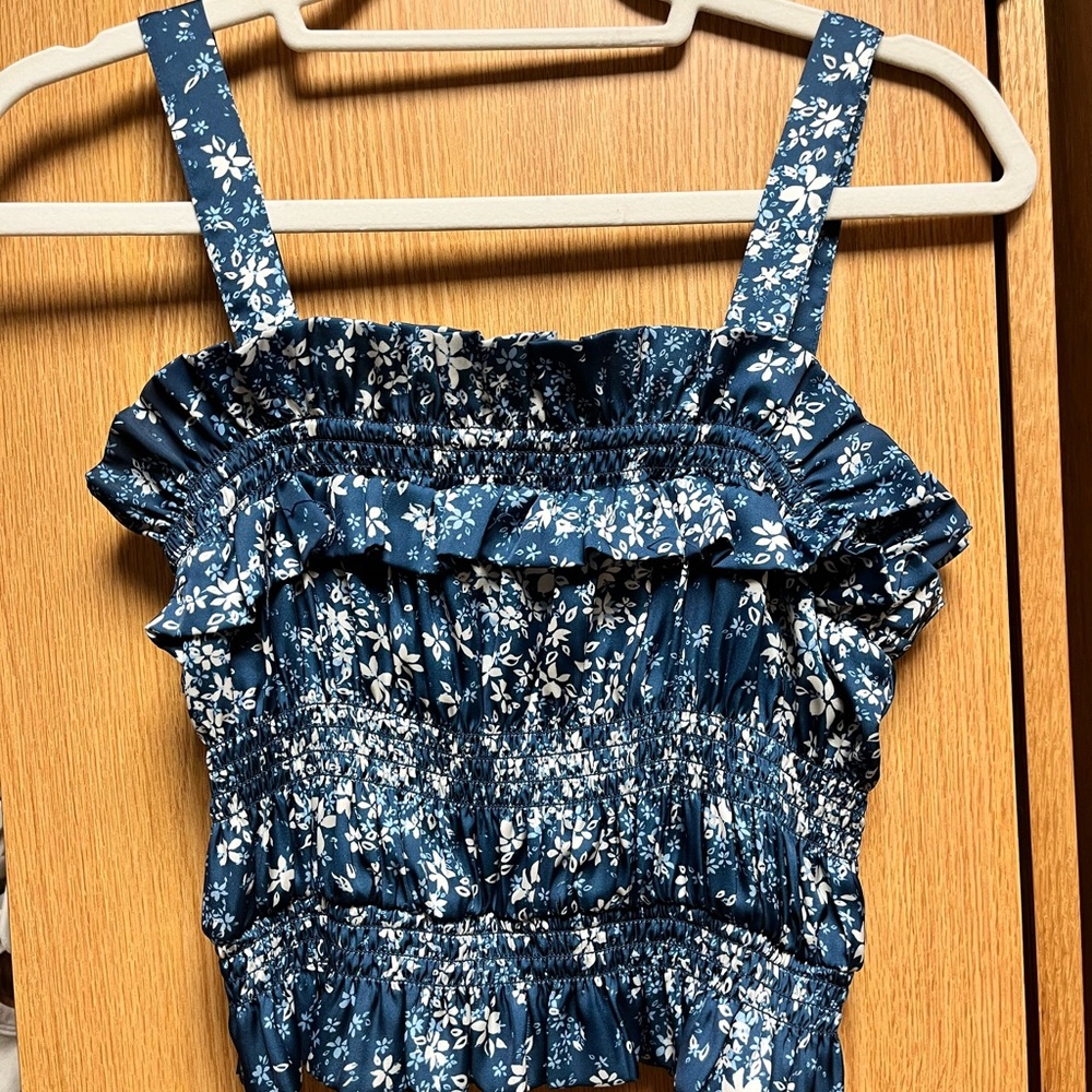 Tularosa Blue Crop Top